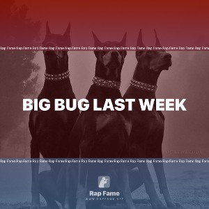 Big Bug Last Week 