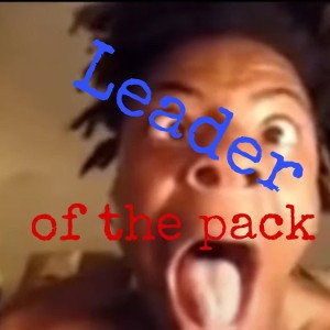Leader Of The Pack