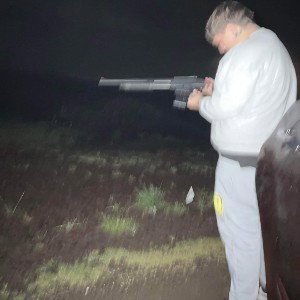 shit to Ezz
