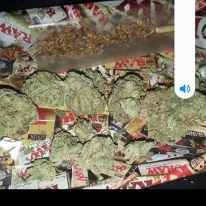 free the team legalize the weed