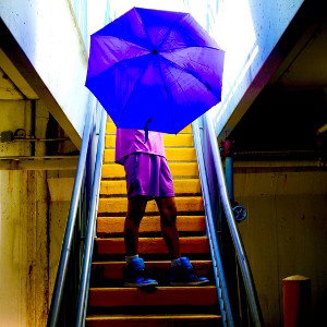 Umbrella 