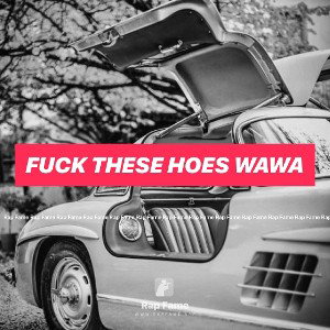 fuck these hoes wawa
