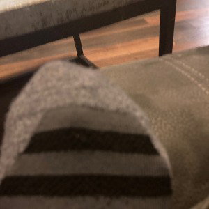 SUCK BUG TOES
