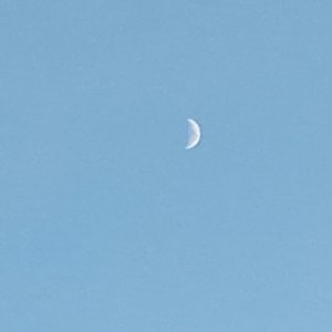 El Astronauto 