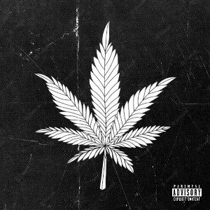 VERSE ICE - RECORDZ  