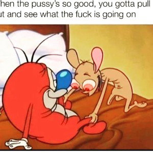 damn