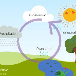 water cycle