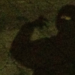 Batman (20:36)