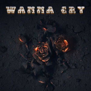 LilBra15 (Wanna Cry) feat. Robb Hern & Itzreal