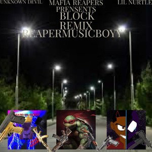 BLOCK (Remix FT.Unknown Devil & Lil Nurtle)