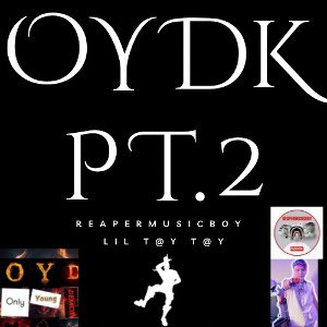 OYDK (Pt.2) (ft.Lil t@y t@y)