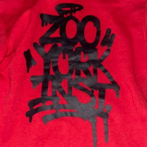 ZOO YORK IRIST (pt.2) (ft.Elionthetrack)