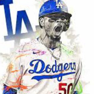 Go Dodgers 