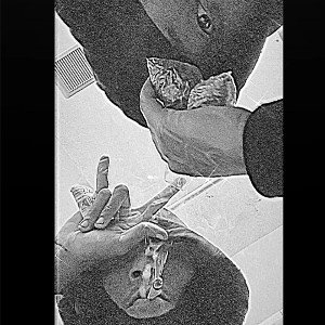 Pardon ME pt2 /BANG BANG 