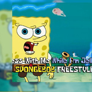  Sponge