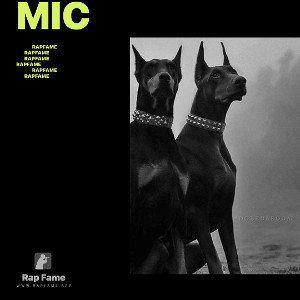 mic