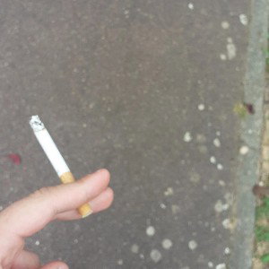 quitté les cours 