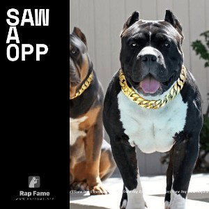 saw a opp