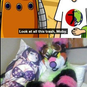 FURRY DISS TRACK