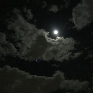 Sueños -Dream Rick