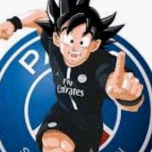 Coupe du monde