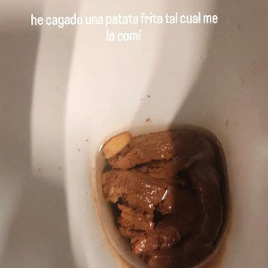 2free panikoenlasala