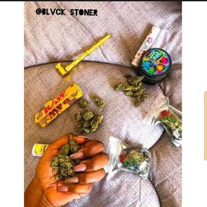 THE PLUG WHO IS THI NEGGA 