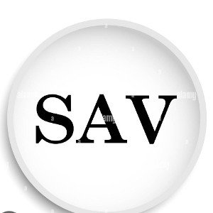 COVER S.A.V