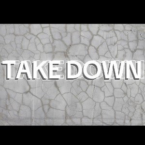 Take Down - B-RAD