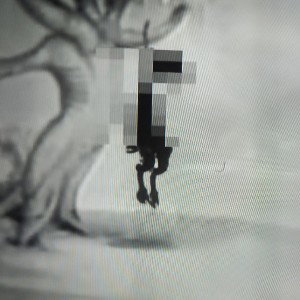 x_|Parv0