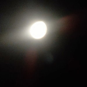 Hazy Trap_1_ (03:39)