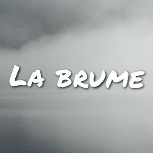 petit délinquant 