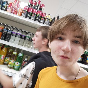 Блохи