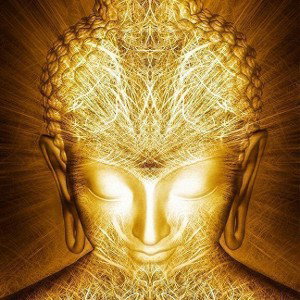 SOLAR Awakening