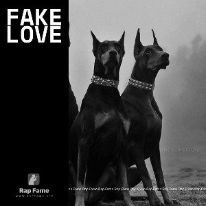 Fake love 