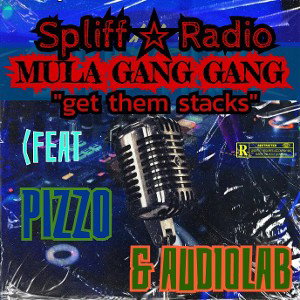 mula "get them stacks" (fear pizzo1233 & Audiolab)