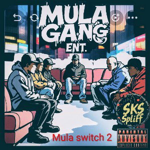 Mula switch 2 (CYPHER)