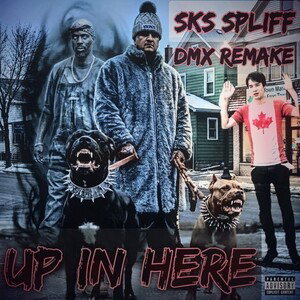 up in here (Spliff mixxx)