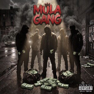 hyperventilate (mula gang ent)
