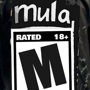 gangster (feat ~ MULA JOB)