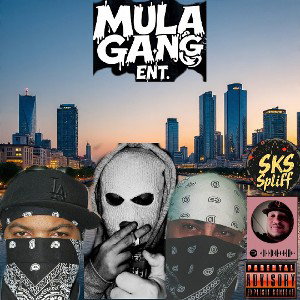  Mula takeover
