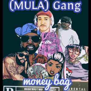 money bag (feat twin imortal )