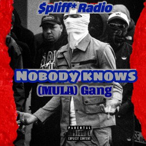 nobody knows (feat - LIl Joe Modesto)