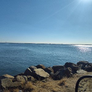 the wind go