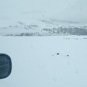 новички и профи