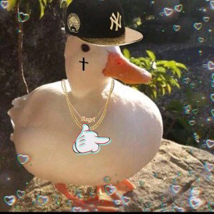 🔥swag🔥