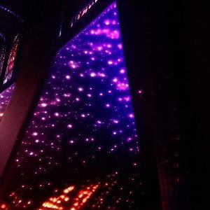 Purple Colors