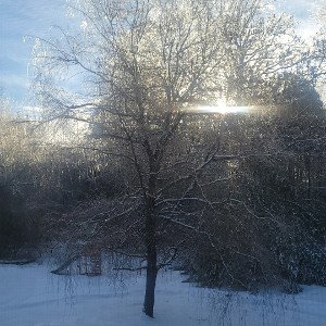 Blue Skies and High Times