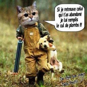 pourquoi tu te la ramènes