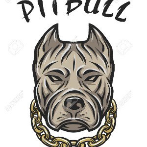 pitbull